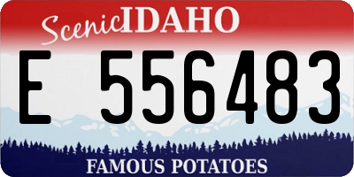 ID license plate E556483