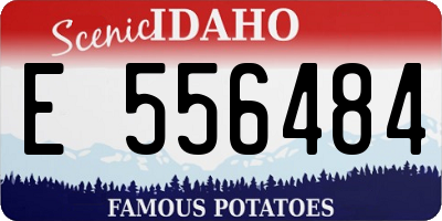 ID license plate E556484
