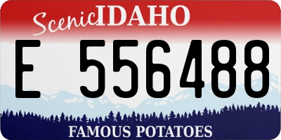ID license plate E556488