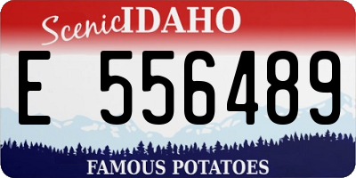 ID license plate E556489