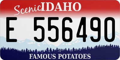ID license plate E556490