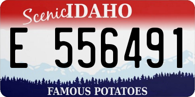 ID license plate E556491