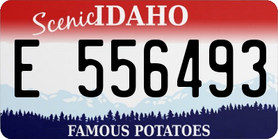 ID license plate E556493