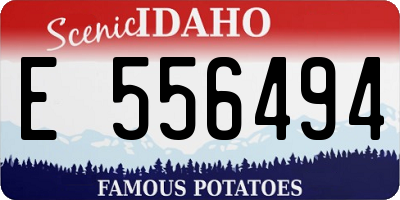 ID license plate E556494