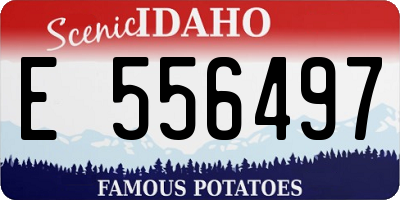 ID license plate E556497