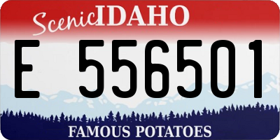 ID license plate E556501