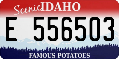 ID license plate E556503