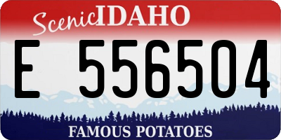 ID license plate E556504