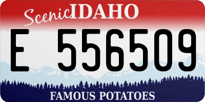 ID license plate E556509