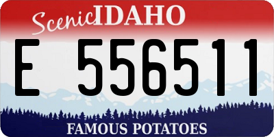 ID license plate E556511