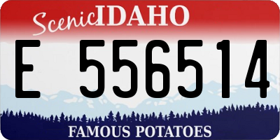 ID license plate E556514