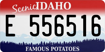ID license plate E556516