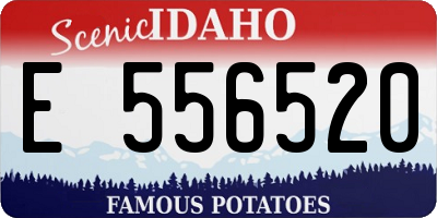 ID license plate E556520