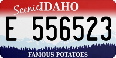 ID license plate E556523