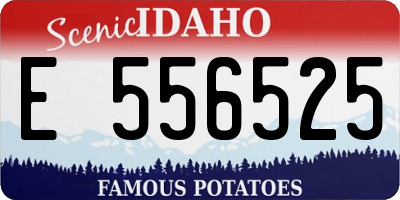 ID license plate E556525