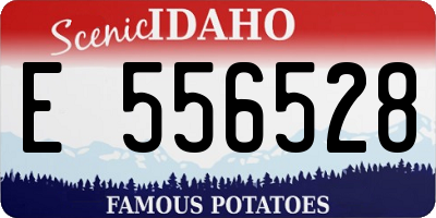 ID license plate E556528