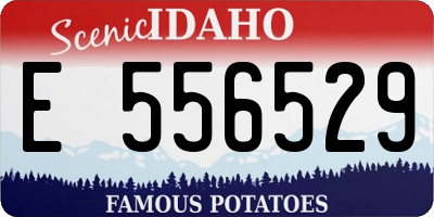 ID license plate E556529
