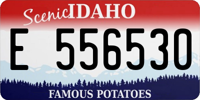 ID license plate E556530