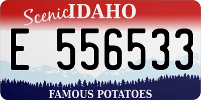 ID license plate E556533