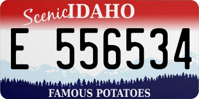 ID license plate E556534