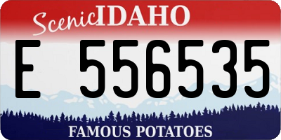 ID license plate E556535