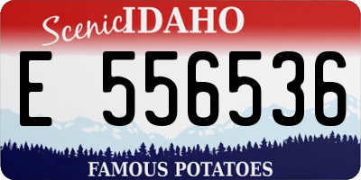 ID license plate E556536
