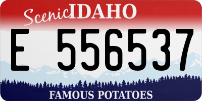 ID license plate E556537