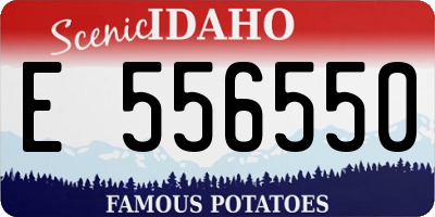 ID license plate E556550
