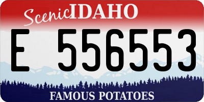 ID license plate E556553