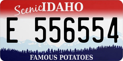 ID license plate E556554
