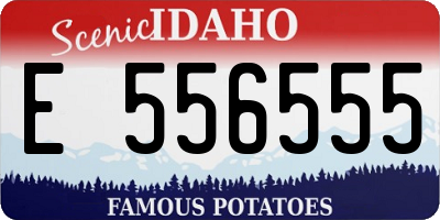 ID license plate E556555