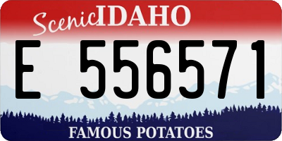 ID license plate E556571