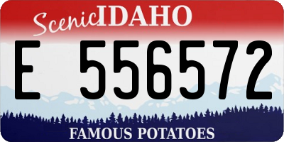 ID license plate E556572