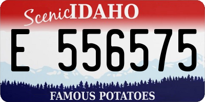 ID license plate E556575