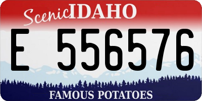 ID license plate E556576