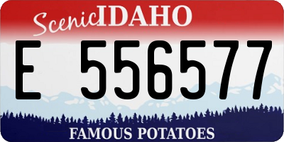 ID license plate E556577