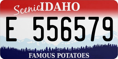 ID license plate E556579
