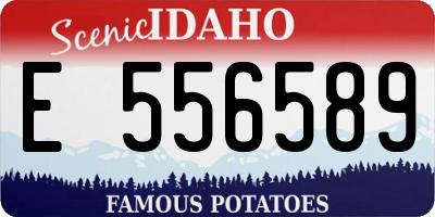 ID license plate E556589