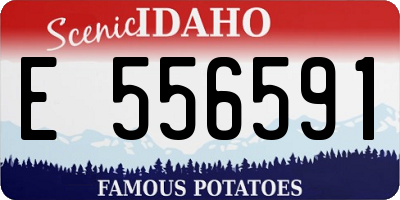 ID license plate E556591
