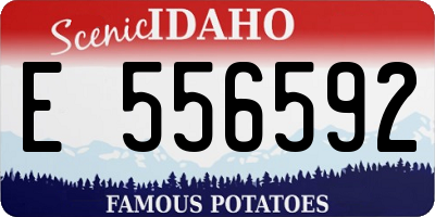 ID license plate E556592