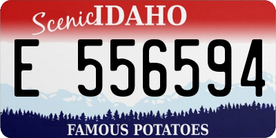 ID license plate E556594