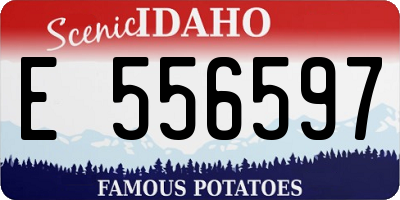 ID license plate E556597