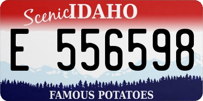 ID license plate E556598