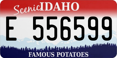 ID license plate E556599