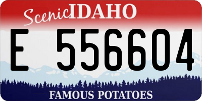 ID license plate E556604
