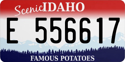 ID license plate E556617