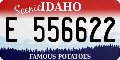 ID license plate E556622