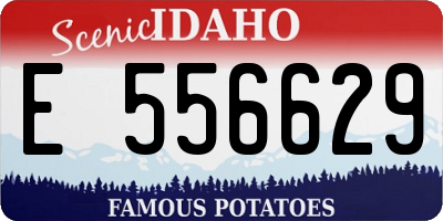 ID license plate E556629