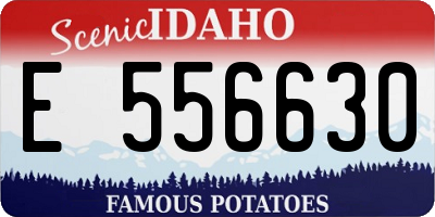 ID license plate E556630