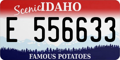 ID license plate E556633